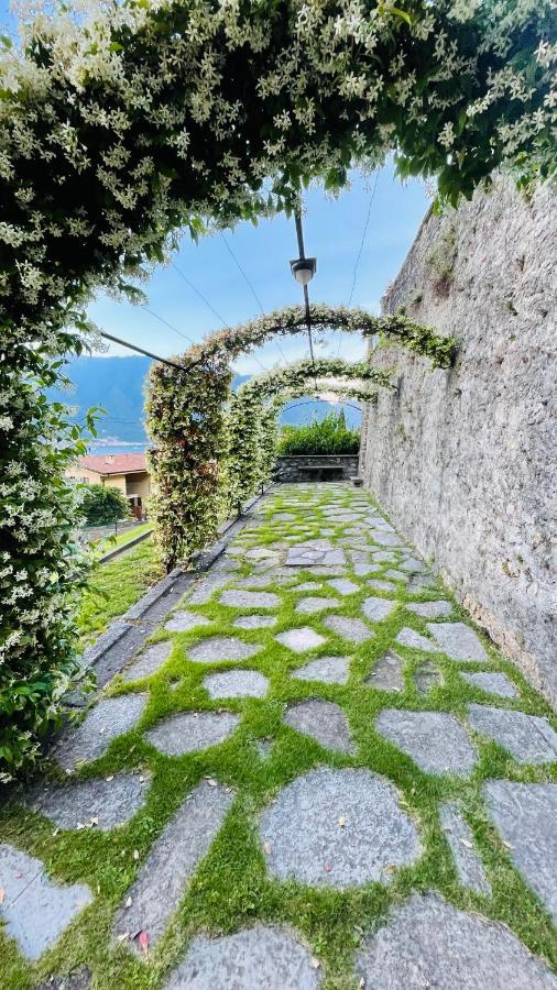 Lake View, Swimming Pool, Tennis Court And Private Parking Mezzegra Εξωτερικό φωτογραφία