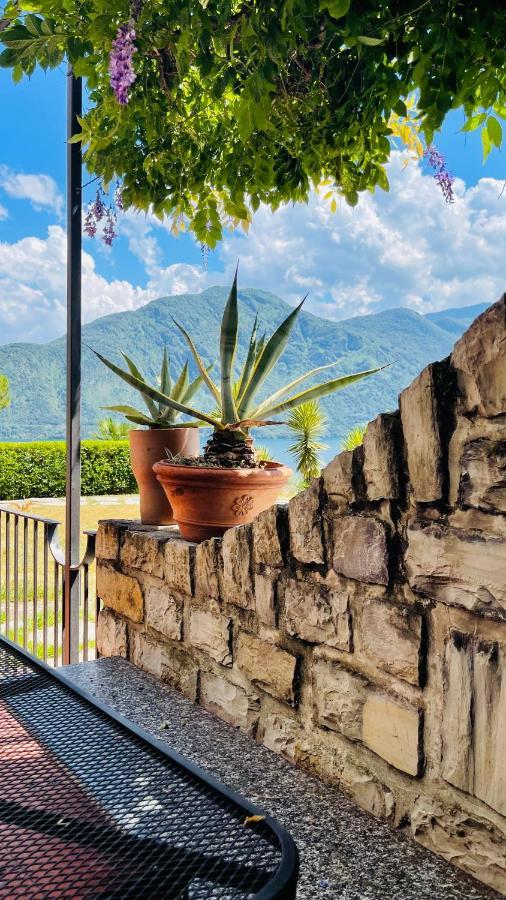 Lake View, Swimming Pool, Tennis Court And Private Parking Mezzegra Εξωτερικό φωτογραφία